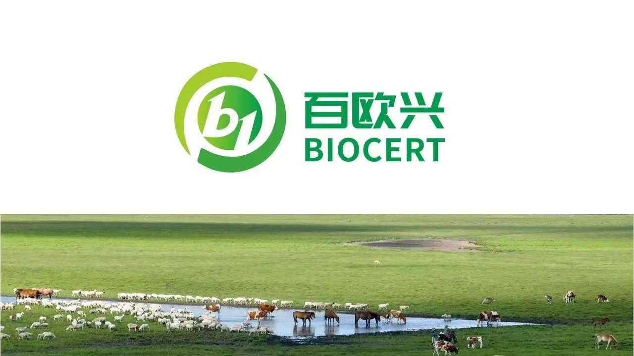 合规经营,行稳致远——百欧兴2026有机产品证后管理专项培训圆满落幕